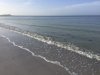 IMG_7853.JPG