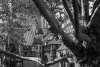 untitled-12.jpg