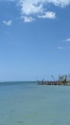 PXL_20240425_161118114.jpg