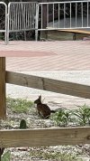 IMG_9023.jpeg