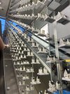 IMG_6501.jpeg