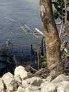 IMG_7748.jpeg