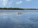 IMG_7754.jpeg