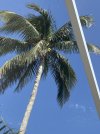 IMG_7823.jpeg