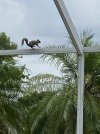 IMG_7866.jpeg