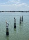 IMG_8026.jpeg