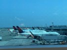 IMG_0228.jpeg IMG_0228.jpeg
