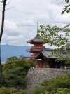 Japan_26-366_768x1024.jpg