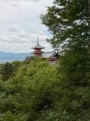 Japan_26-367_768x1024.jpg