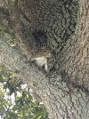 IMG_0283.jpeg IMG_0283.jpeg