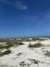 IMG_0284.jpeg IMG_0284.jpeg