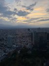 Japan_26-805_768x1024.jpg