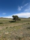Mongolei_ - 164_768x1024.jpg