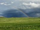 Mongolei_ - 185_1024x768.jpg