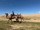 Mongolei_ - 189_1024x768.jpg