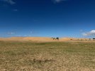 Mongolei_ - 190_1024x768.jpg