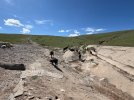 Mongolei_ - 208_1024x768.jpg