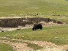 Mongolei_ - 248_1024x768.jpg