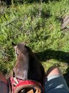 Mongolei_ - 267_768x1024.jpg