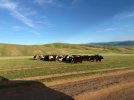 Mongolei_ - 283_1024x768.jpg