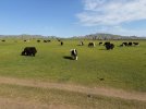 Mongolei_ - 294_1024x768.jpg