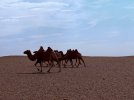 Mongolei_ - 370_1024x768.jpg