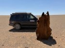Mongolei_ - 472_1024x768.jpg
