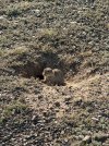 Mongolei_ - 582_768x1024.jpg
