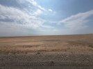 Mongolei_ - 597_1024x768.jpg
