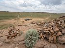 Mongolei_ - 607_1024x768.jpg