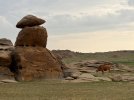Mongolei_ - 618_1024x768.jpg