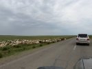 Mongolei_ - 627_1024x768.jpg