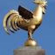 essener