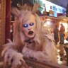 karibiktigra