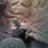 annalein_19